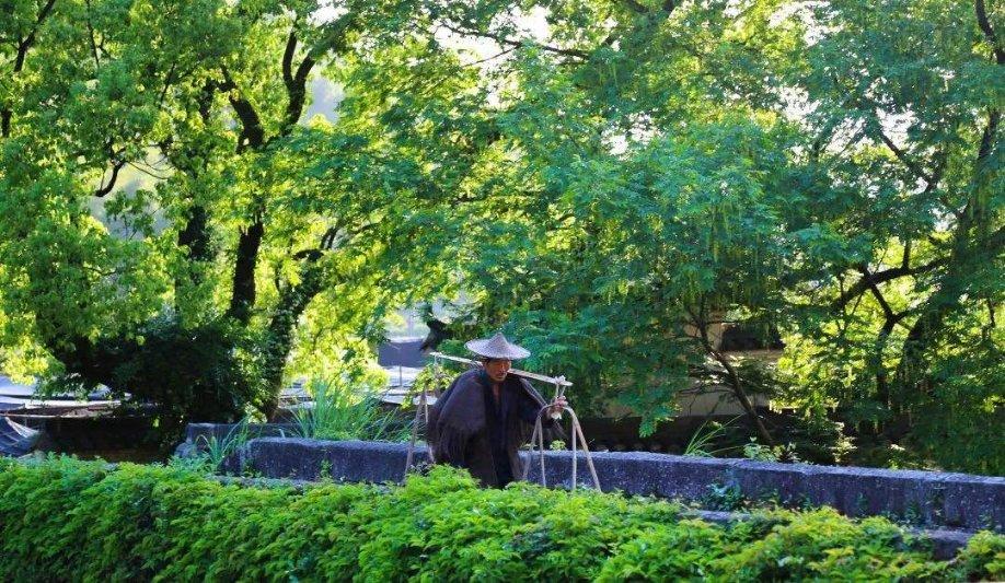 救援农场少年