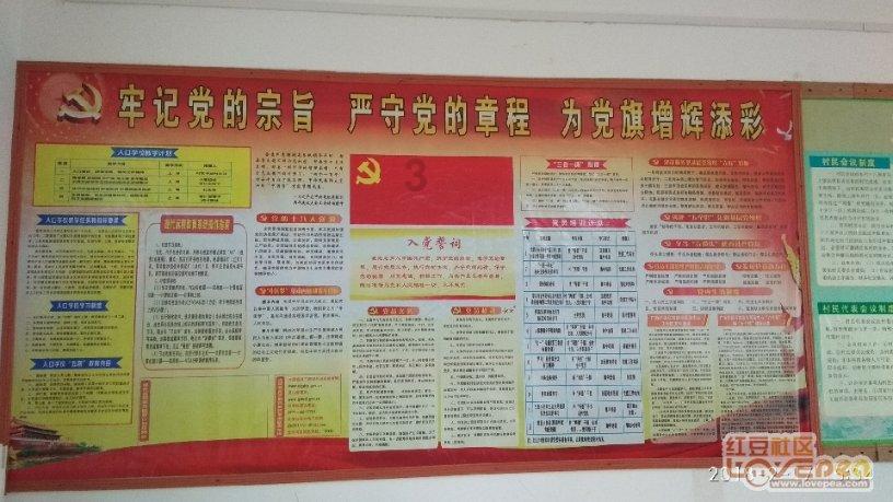 熊出没夺宝历险