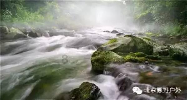 校园追星变形记