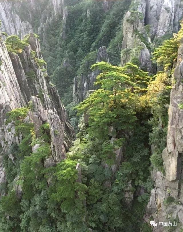 熊仔超级找茬