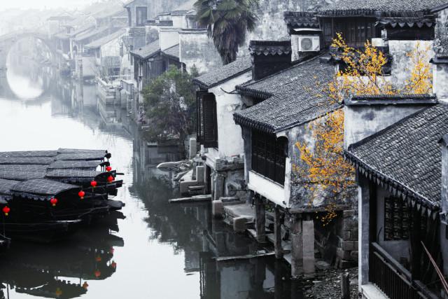 拯救落难小鸟